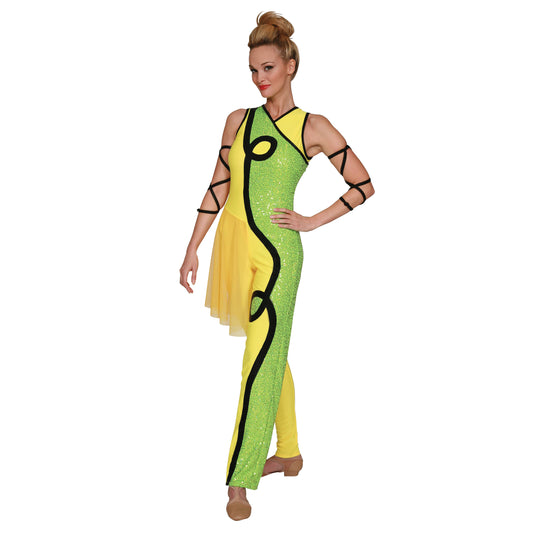 Color Guard Costume